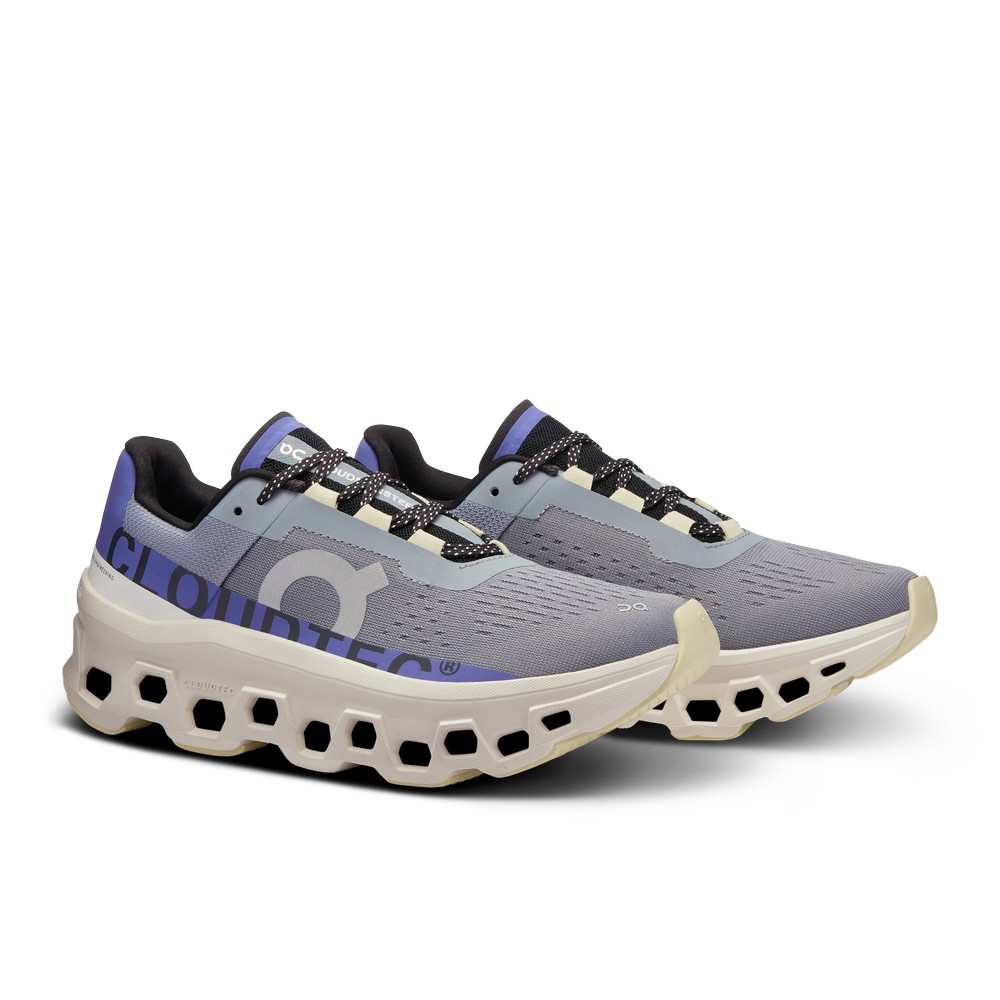 On |Women QC Cloudmonster Road Running Shoes Mist / Blueberry | FK96-D5IF